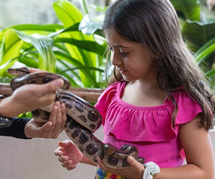 Reptile Encounter
