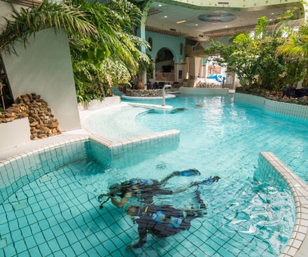 Dive Introduction